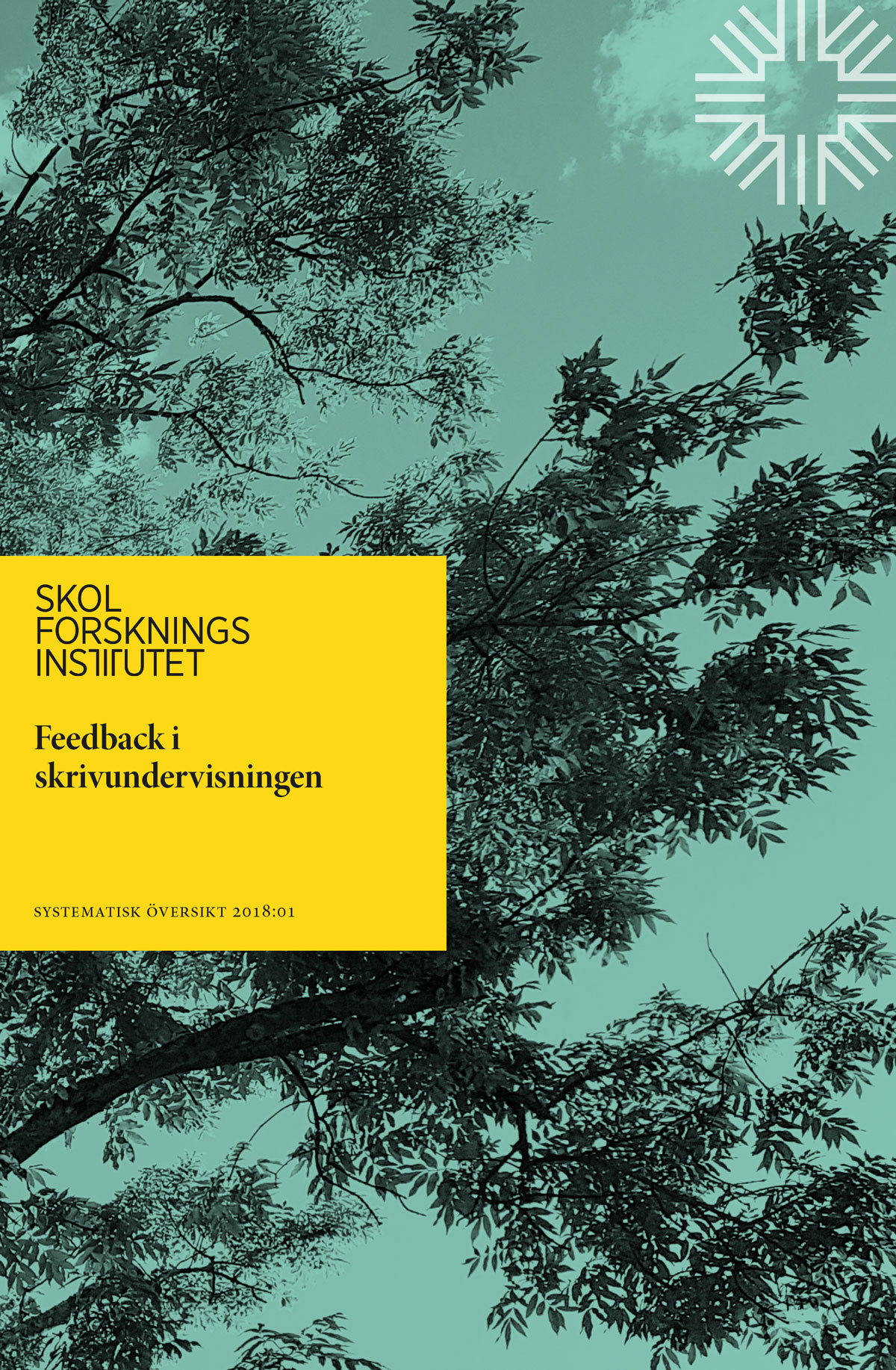 Omslag: Feedback i skrivundervisningen