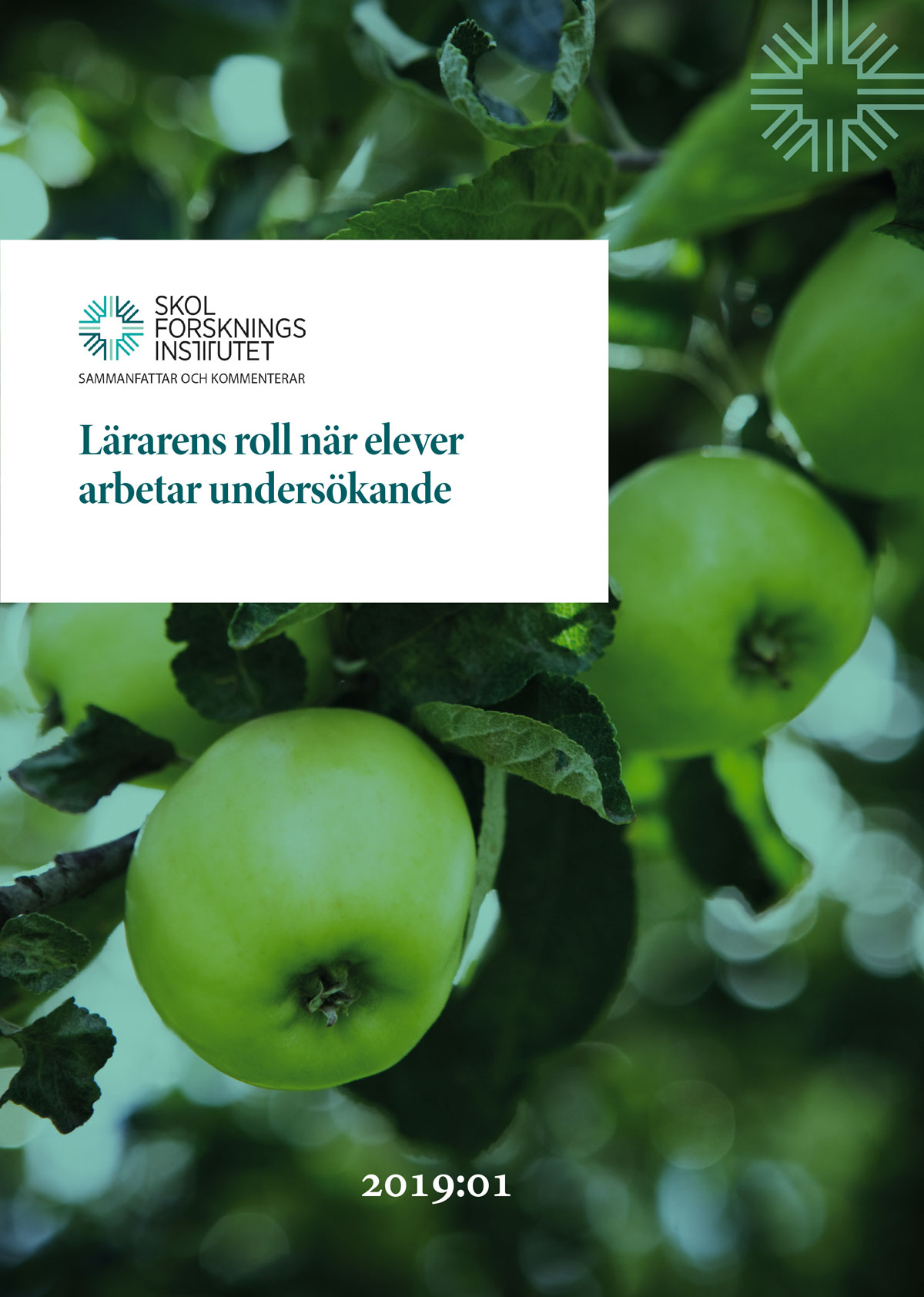 19-01-Lararens-roll-elever-undersokande-omslag