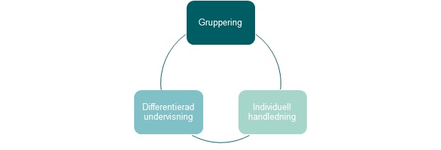 Figur 3 Strategier för individanpassning