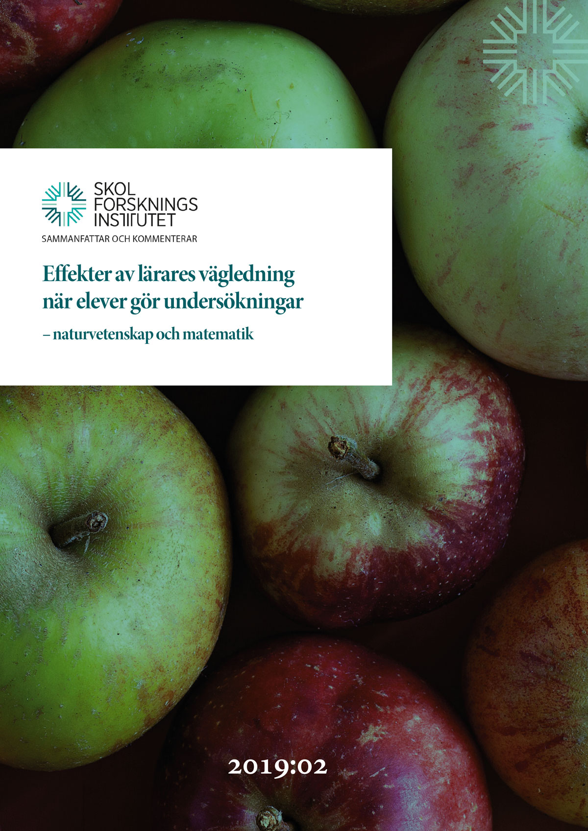 19-02-Effekter-av-larares-vagledning-–-omslag