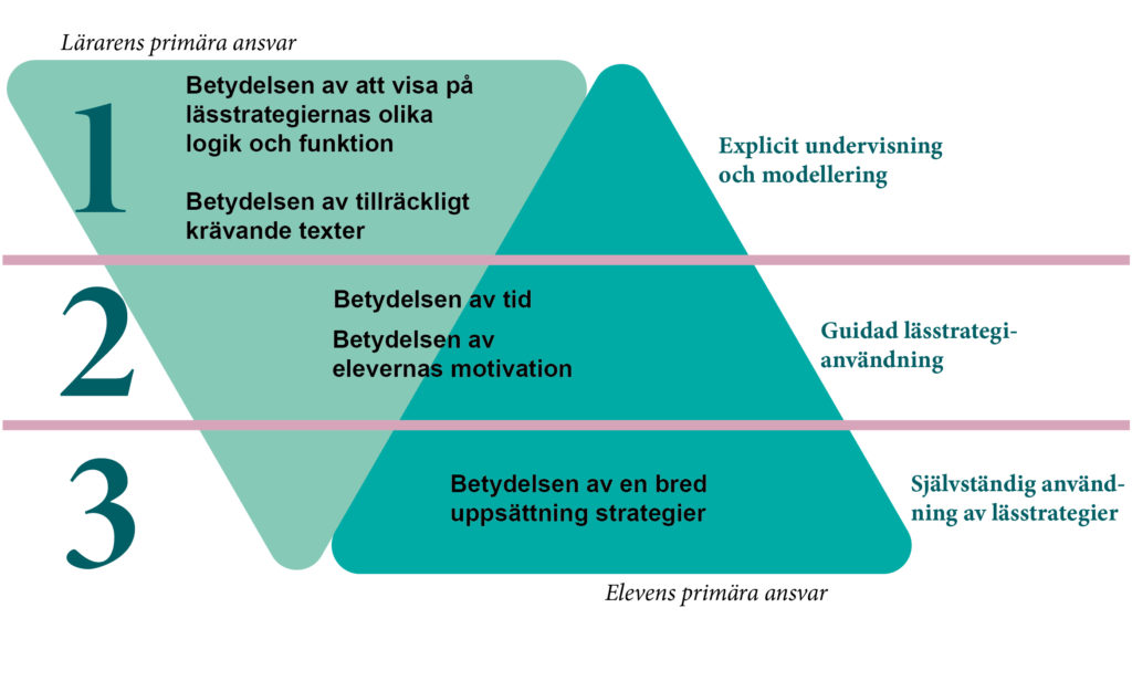 Lärarens primära ansvar: Betydelsen av att visa på lässtrategiernas olika logik och funktion. Betydelsen av tillräckligt krävande texter = Explicit undervisning och modellering. Elevens primära ansvar: Betydelsen av en bred uppsättning strategier = Självständig användning av lässtrategier. Delat ansvar: Betydelsen av tid. Betydelsen av elevernas motivation = Guidad lässtrategianvändning.