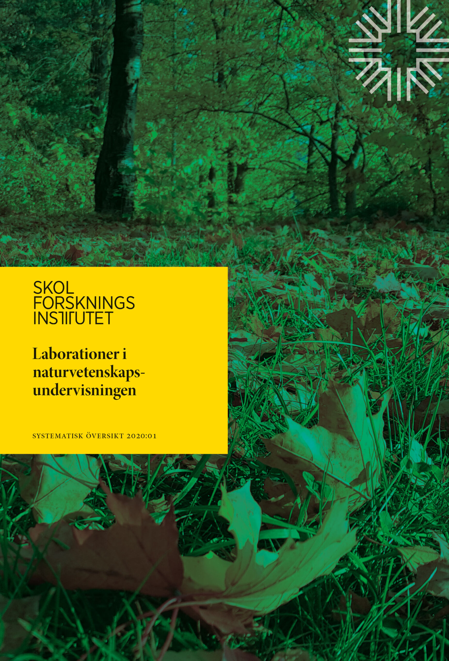 Omslag Laborationer i naturvetskapsundervisningen