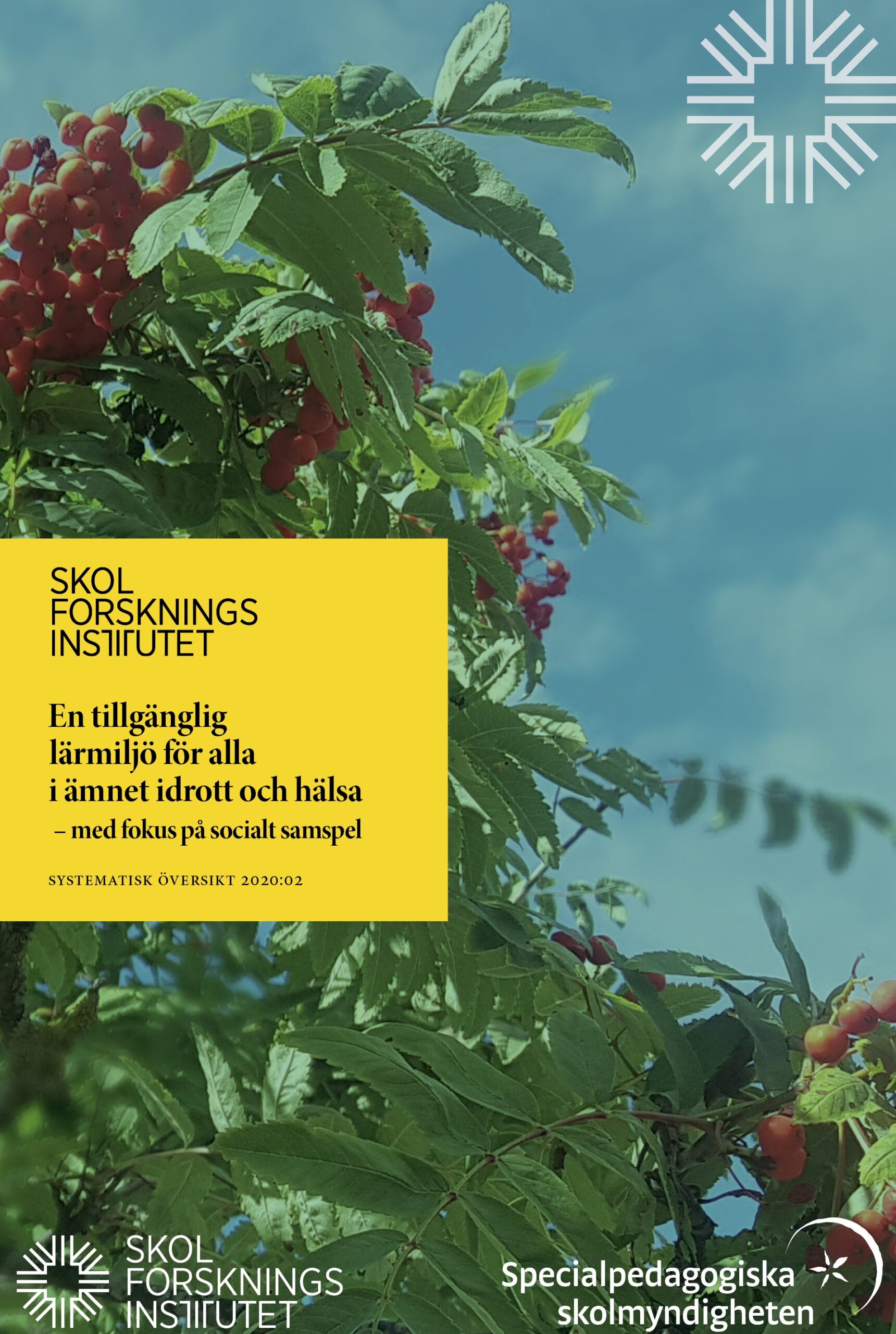 Omslag till En tillgänglig lärmiljö för alla i ämnet idrott och hälsa
