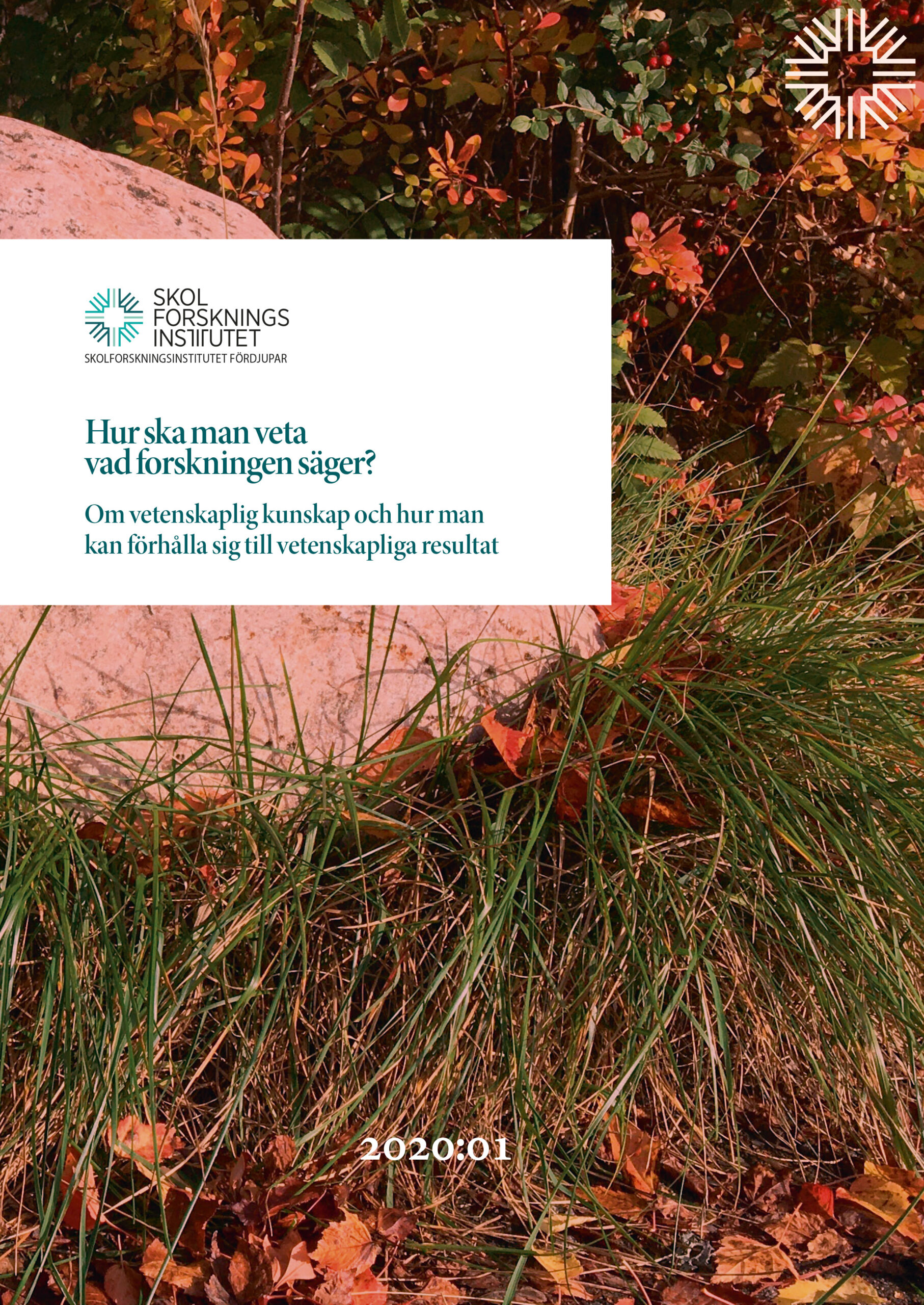 Omslag Hur kan man veta vad forskningen säger