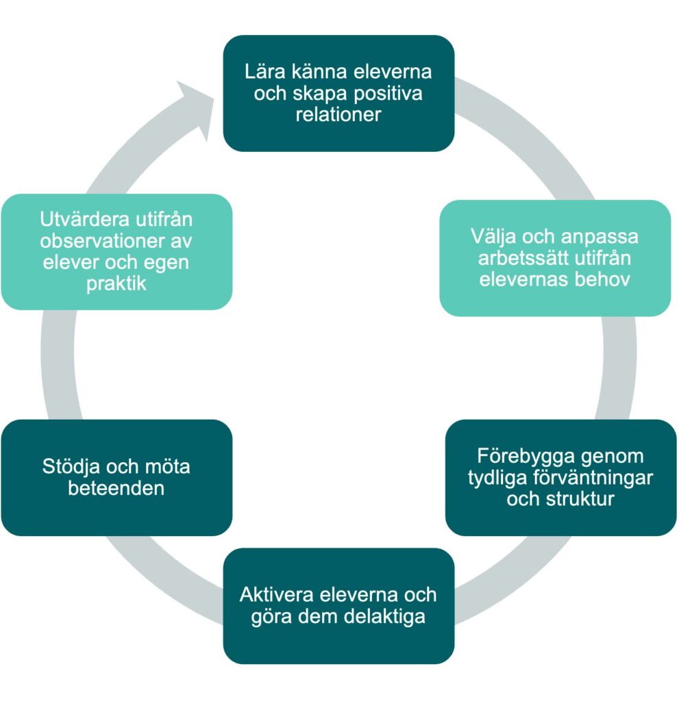 Cyklisk proces: Lära känna eleverna och skapa positiva relationer, Välja och anpassa arbetssätt utifrån elevernas behov, Förebygga genom tydliga förväntningar och struktur, Aktivera eleverna och göra dem delaktiga, Stödja och möta beteenden, Utvärdera utifrån observationer av elever och egen praktik.