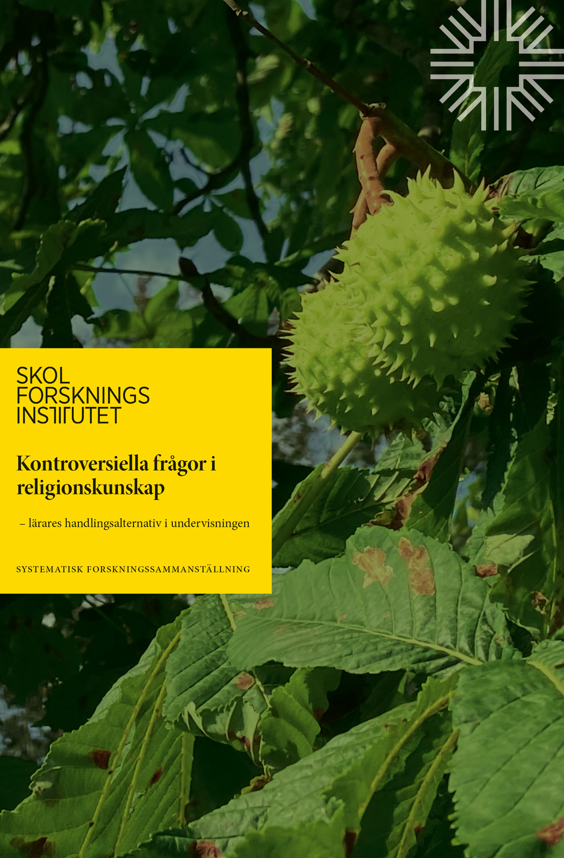 Omslag till Kontroversiella frågor i religionskunskap – lärares handlingsalternativ i undervisningen