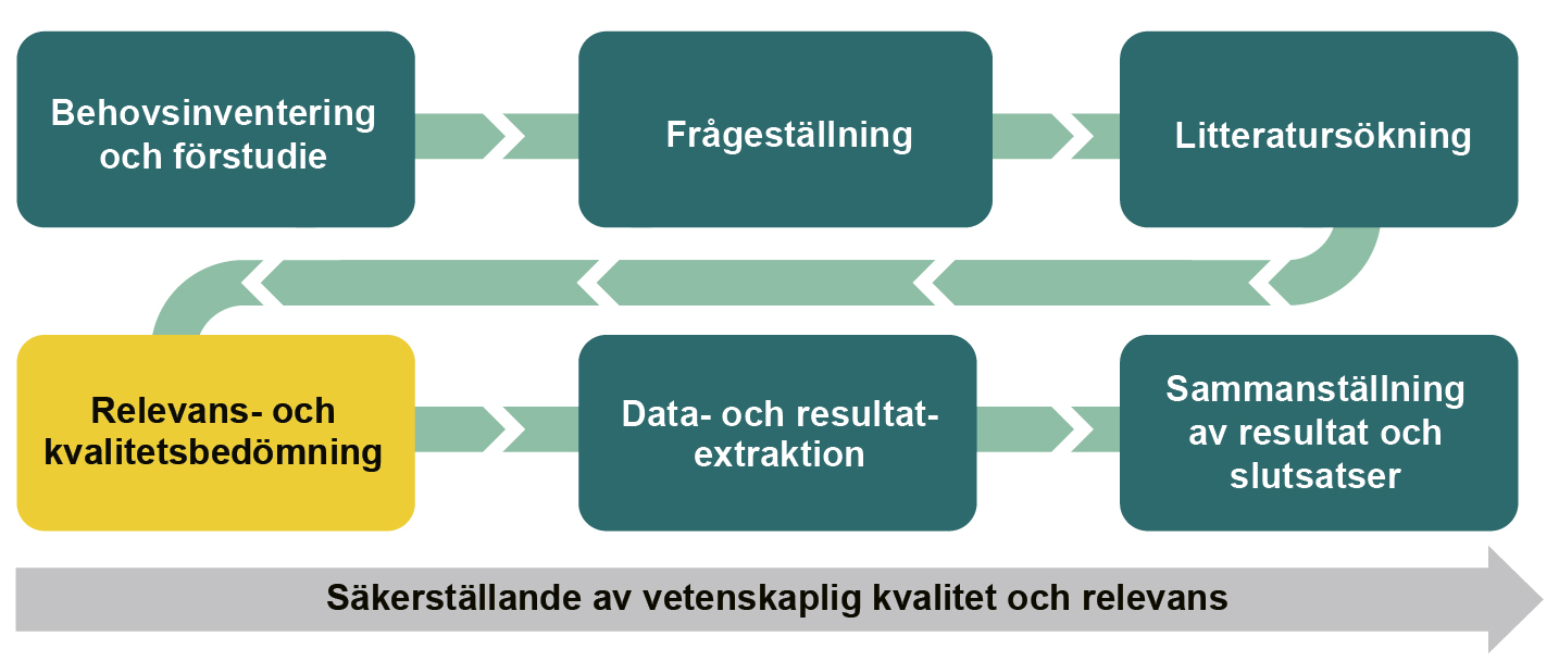 Infografik som visar alla steg från Behovsinventering och förstudie till Sammanställning av resultat och slutsatser. Rutan Relevans- och kvalitetsbedömning är markerad.