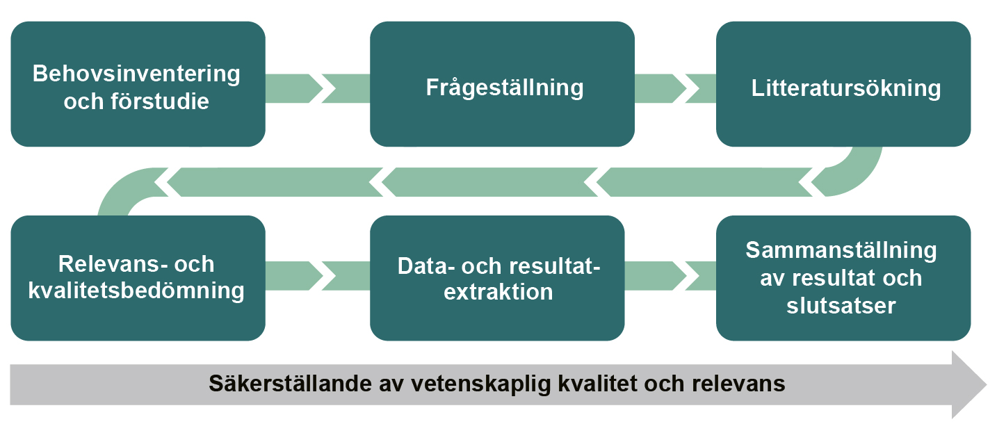 Figur som visar arbetsgången för institutets systematiska översikter, från Behovsinventering och förstudie till Sammanställning av resultat och slutaatser.