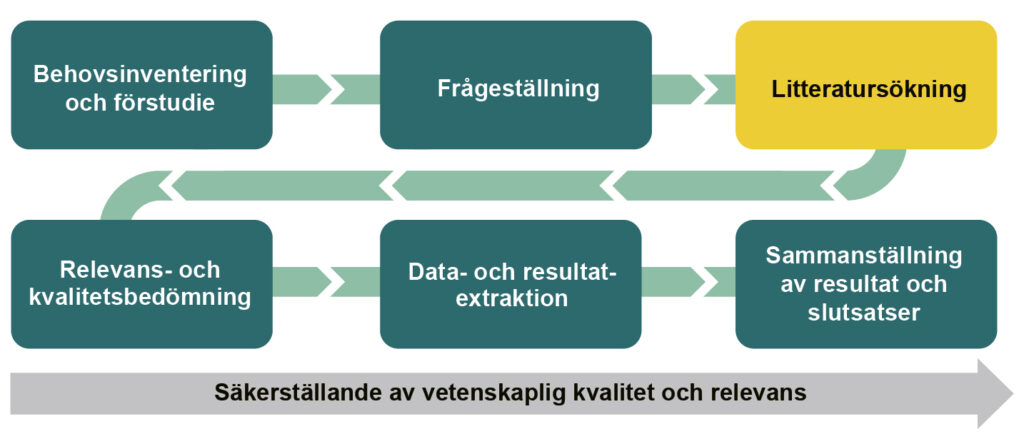 Infografik som visar alla steg från Behovsinventering och förstudie till Sammanställning av resultat och slutsatser. Rutan Litteratursökning är markerad.