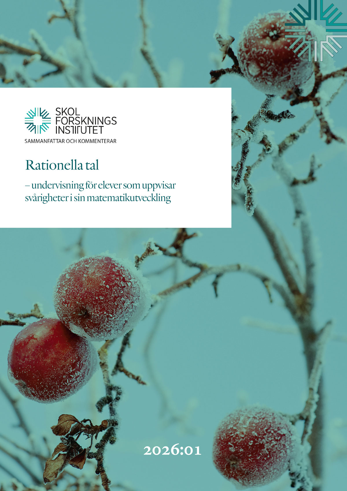 Omslag Rationella tal